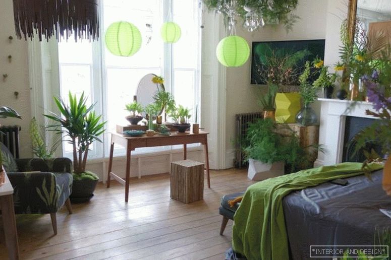Plants in the interior of bedroom 3
