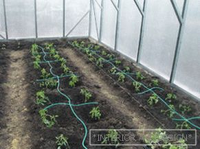 Autowatering greenhouses