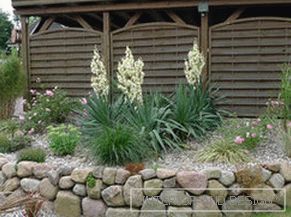 Stone fence