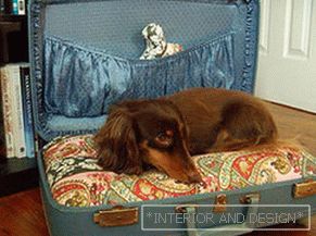 Dog house из чемодана