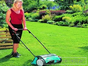 Description of the nuances of proper lawn care