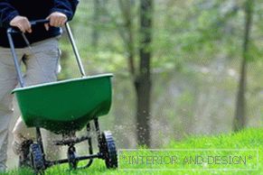 Description of the method of feeding lawns with phosphate fertilizers