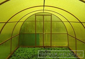 How to choose a polycarbonate for the greenhouse
