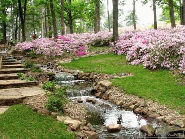 Where to start landscaping
