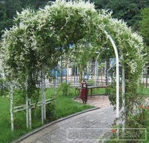 Garden arches from пластика