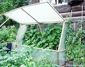Greenhouse as a cucumber