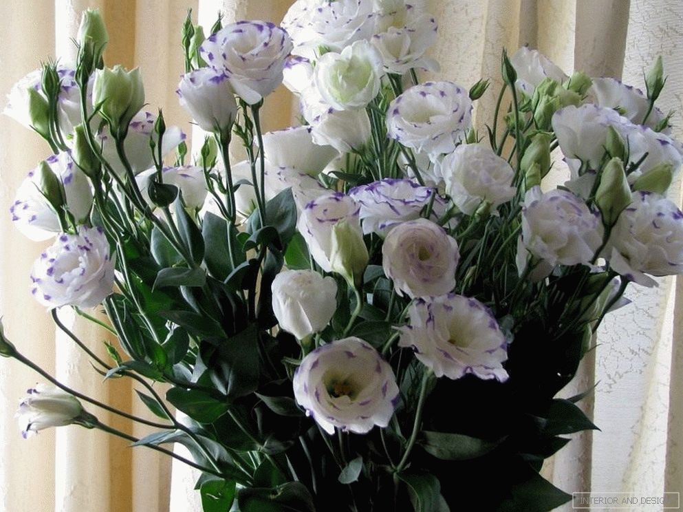 Bouquet of white eustomas