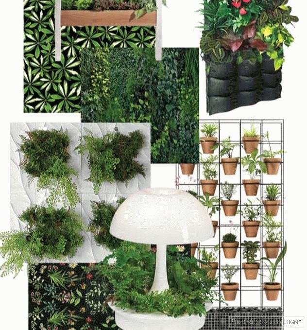 Vertical gardens in the interior (shrinkage options)
