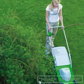 Choosing a lawnmower