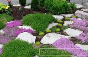 Making rockeries in European style