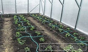 How to install drip irrigation system